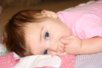 August 2009 Photo Gallery